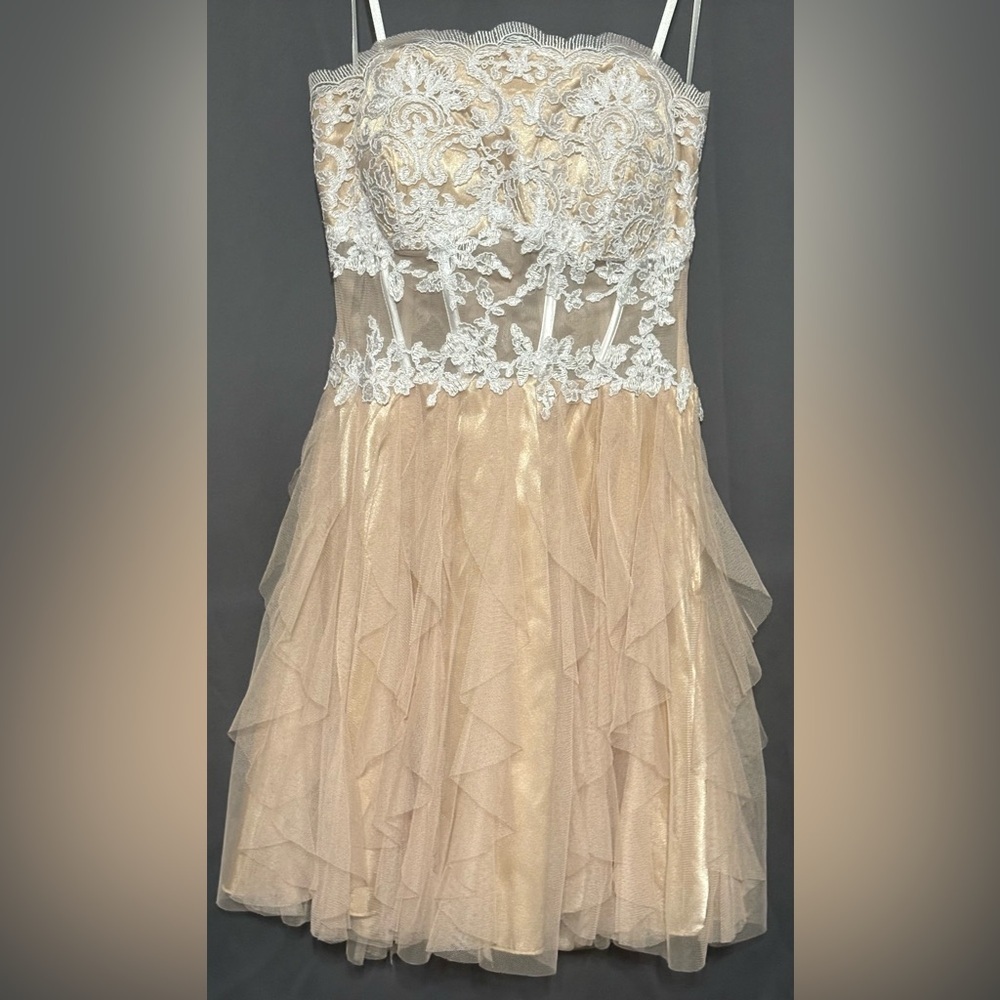 Lace sheer middle mini dress